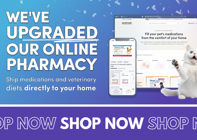 Carousel Slide 4: Shop our online store and pharmacy!