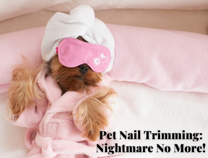 Pet Nail-Trimming: Nightmare No More!