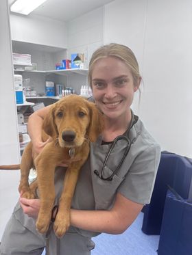 best veterinarian near me
