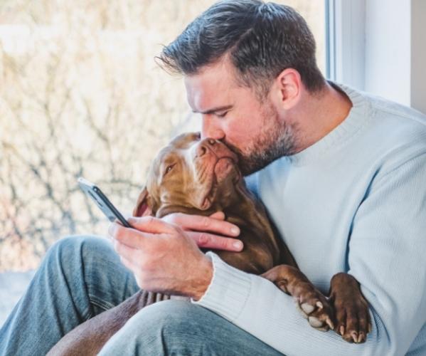 Planning for your pets healthcare needs