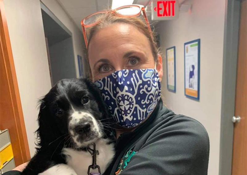 Dog Veterinary Care, Madison
